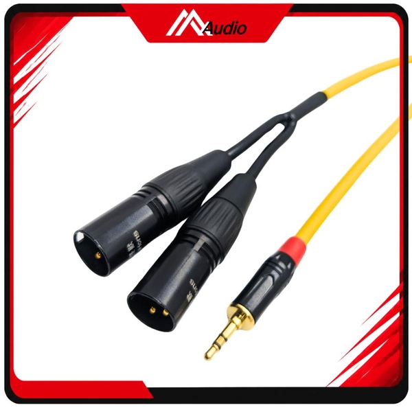 Dây 3.5mm ra 2 đầu canon Đực
