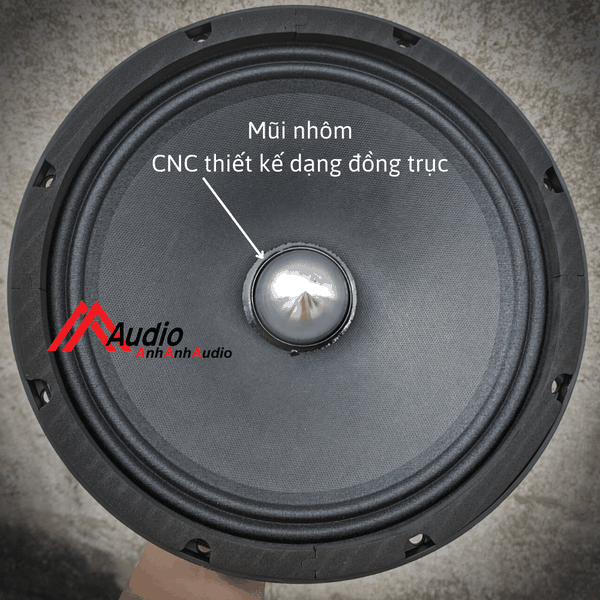 Loa 25 Full toàn dãi mã Bass25SWK10