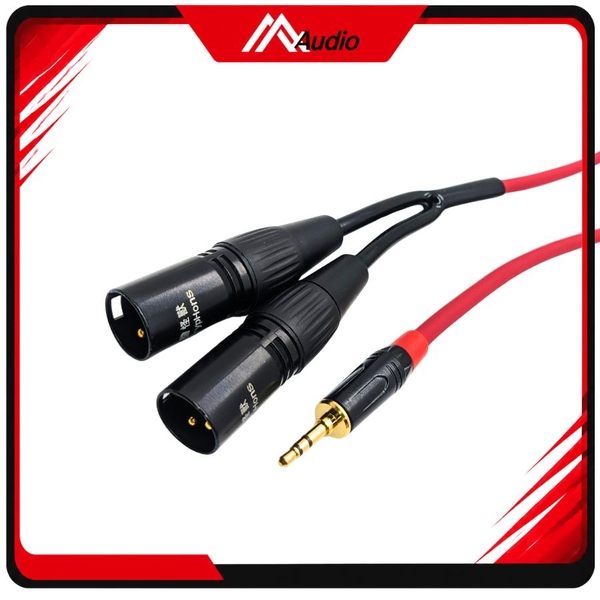 Dây 3.5mm ra 2 đầu canon Đực