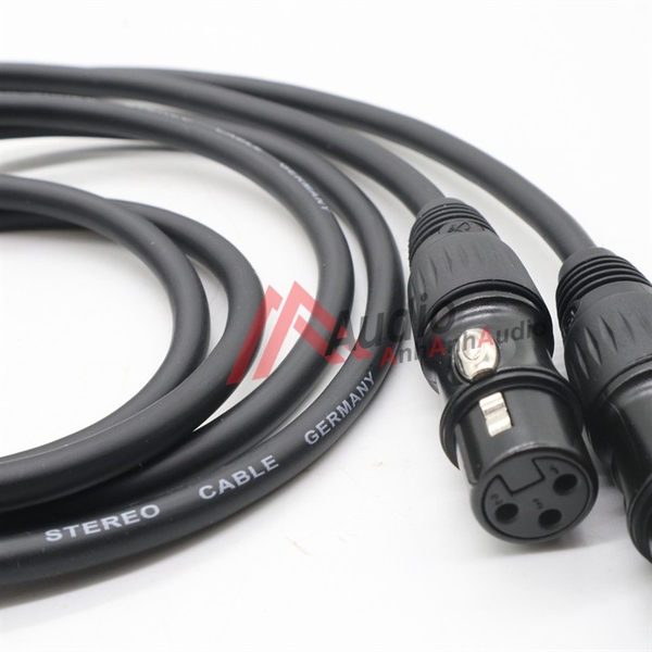 Cáp canon cái ra AV , giá 02 sợi