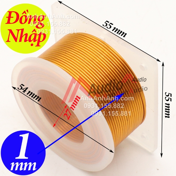 Cuộn cảm 2455-1.0-1.0