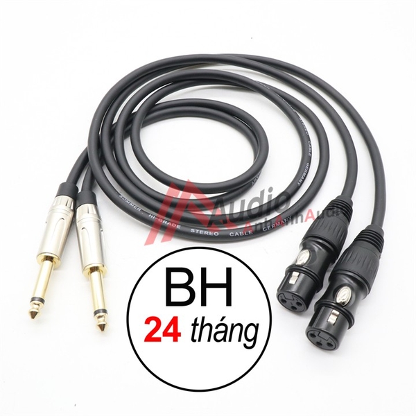 Cáp Canon cái ra 6 ly dây đồng nguyên chất, giá 02 sợi