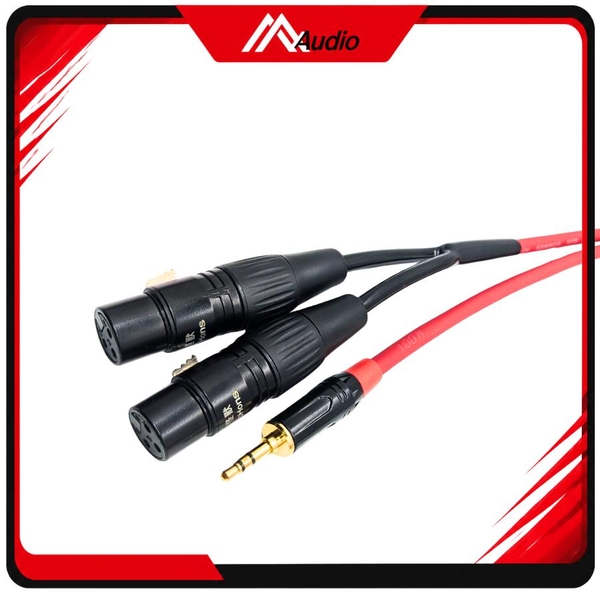 Dây 3.5mm ra 2 đầu canon Cái