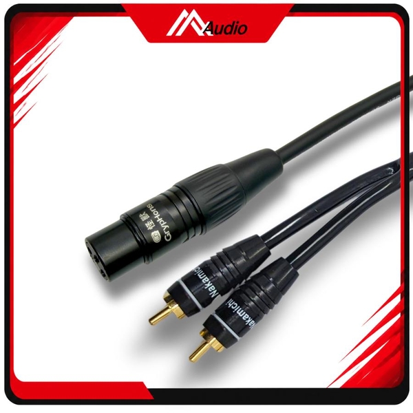 Dây Canon Cái Ra 2 Đầu AV (RCA) Hoa seᵰ