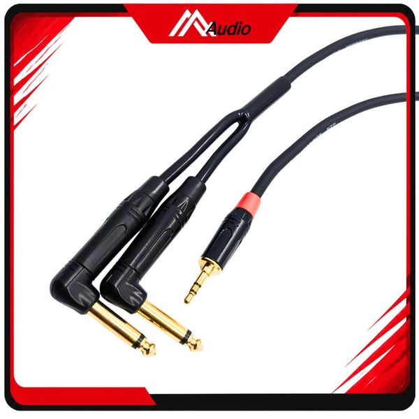 Dây 3.5 mm ra 2 đầu 6 Ly Cong