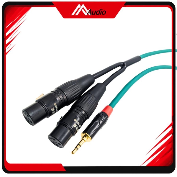 Dây 3.5mm ra 2 đầu canon Cái