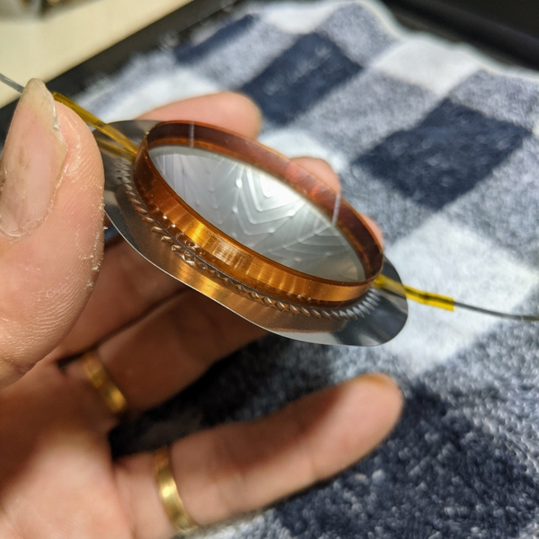 Lá 44.4 Đồng Dẹp Gân Lá Cây Trắng