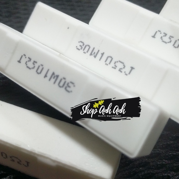 Trở sứ 30w đài loan có 2 sóng lưng