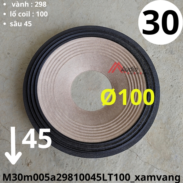 Màng loa bass 30 lổ coil 100 cao 45 ( M30m005a29810045LT100_xamvang ) M012LT