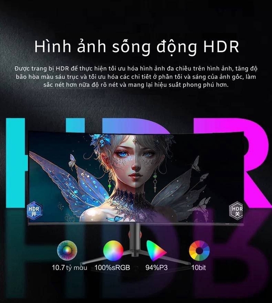torder.net