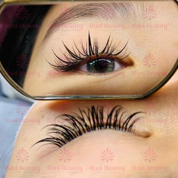 Tư vấn chọn mi fan sẵn đa dạng độ cong phù hợp từng dáng mắt