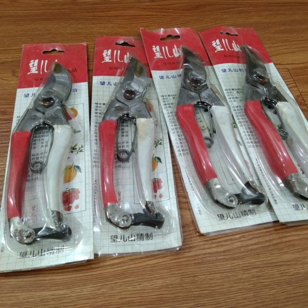 Kéo cắt cành, kéo tỉa cây cảnh – ảnh 2