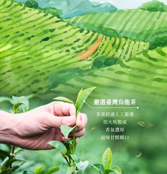 水果烏龍茶吸凍飲9入組