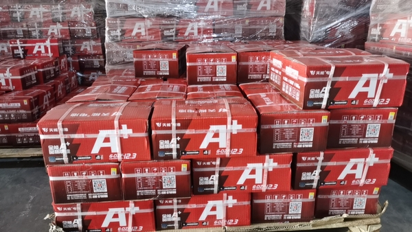 ẮC QUY TIANNENG A+ 20AH (BỘ 5 BÌNH)