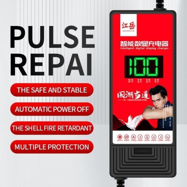 SẠC XE ĐIỆN CAO CẤP HIỂN THỊ PIN, TỰ NGẮT, CHỐNG PHỒNG BÌNH, BẢO HÀNH 12TH