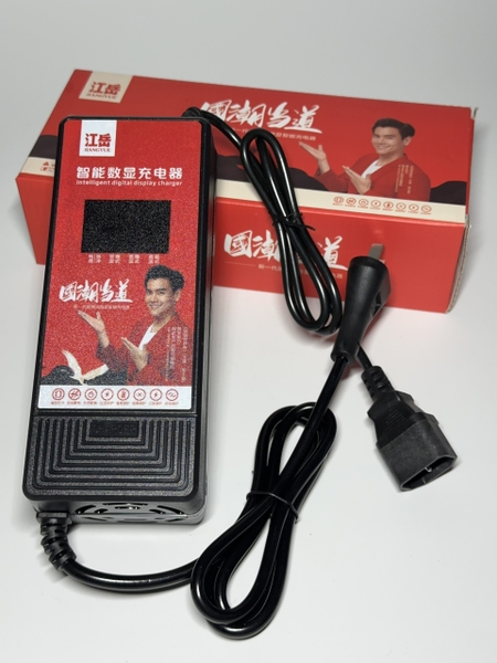 SẠC XE ĐIỆN CAO CẤP HIỂN THỊ PIN, TỰ NGẮT, CHỐNG PHỒNG BÌNH, BẢO HÀNH 12TH