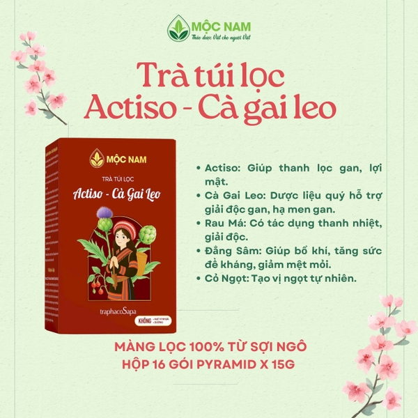 tra-thao-moc-actiso-ca-gai-leo-moc-nam