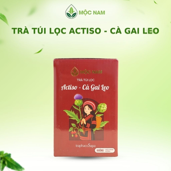 tra-actiso-ca-gai-leo-moc-nam