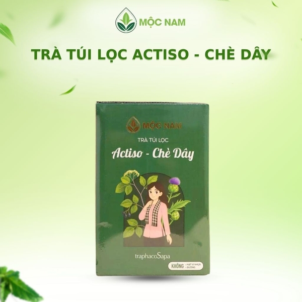 tra-actiso-che-day-moc-nam