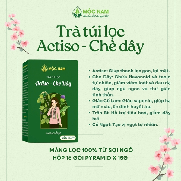 tra-thao-moc-actiso-che-day-moc-nam