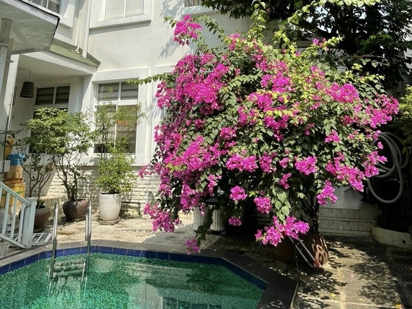 VILLA MỸ GIA 2
