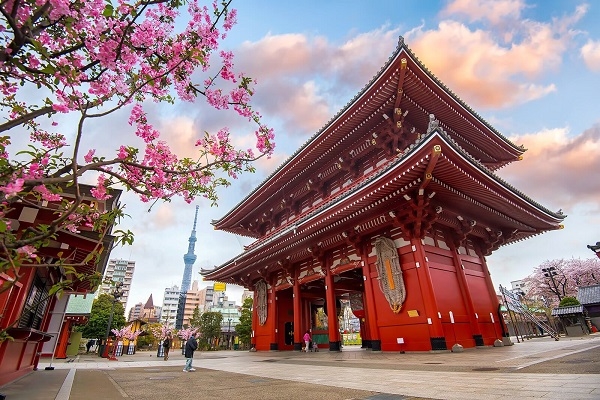 [2024] NHẬT BẢN MÙA HOA ANH ĐÀO 6N5Đ NH TOKYO-FUJI.MT-NAGOYA-KYOTO-OSAKA