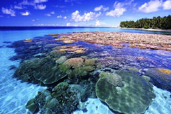 [2023] THÁI LAN - ĐẤT NƯỚC CỦA NHỮNG NỤ CƯỜI HÀ NỘI – BANGKOK – PATTAYA ĐẢO CORAL - HÀ NỘI 4N3D