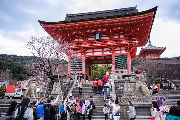 [2024] NHẬT BẢN MÙA HOA ANH ĐÀO 6N5Đ VJ OSAKA–KOBE–KYOTO–NÚI PHÚ SỸ–TOKYO 