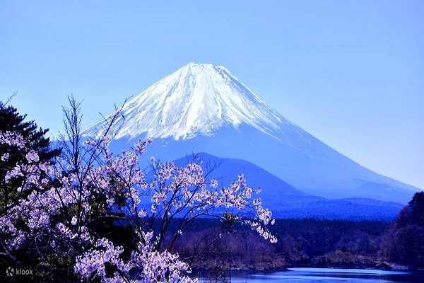 [2024] NHẬT BẢN MÙA HOA ANH ĐÀO 6N5Đ VNA NAGOYA–NARA-OSAKA–KYOTO–NÚI PHÚ SỸ–TOKYO