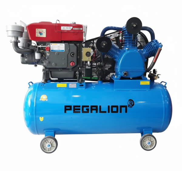 Máy Nén Khí Đầu Nổ Chạy Dầu Pegalion 15HP 500L TM-W-1.6/12.5-500L