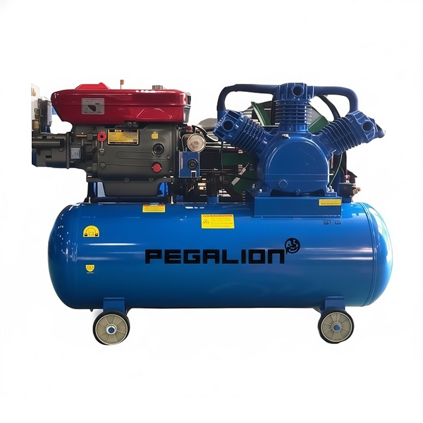 Máy Nén Khí Dây Đai Pegalion 15HP 500L TM-W-1.6/8-500L