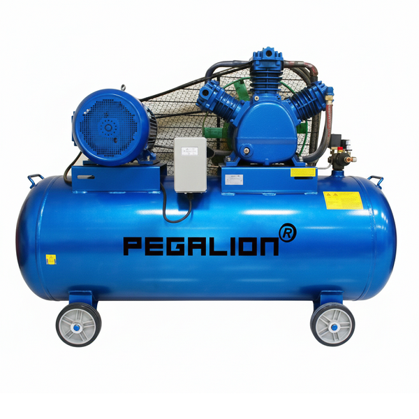 Máy Nén Khí Dây Đai Pegalion 20HP 330L TM-W-2.0/12.5-330L