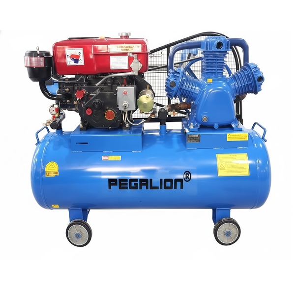 Máy Nén Khí Dây Đai Pegalion 10HP 500L TM-W-1.0/8-500L