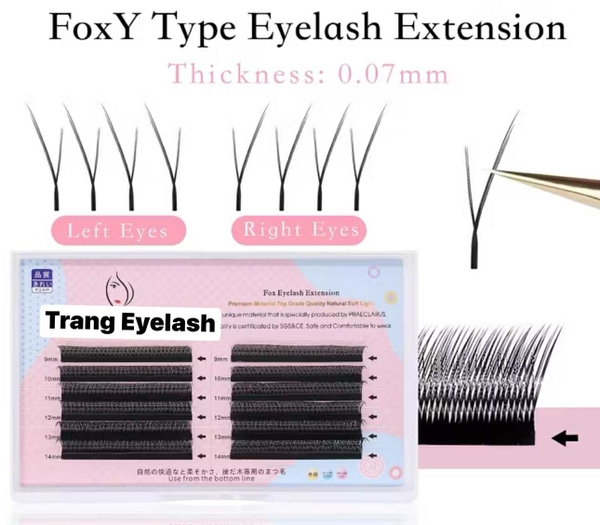 Mi Hoa Nhỏ - Fox Y type eyelash - Mi fisheyes