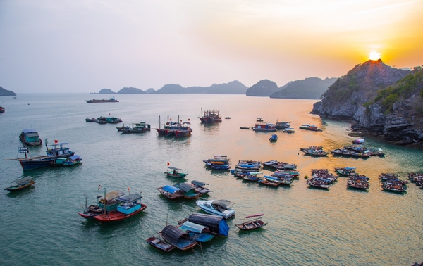 Du lịch Cát Bà tự túc cần bao nhiêu tiền? Chi phí chi tiết cho chuyến đi hoàn hảo