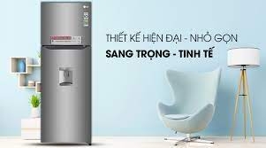 Tủ Lạnh LG Inverter 333 Lít GN-D315S