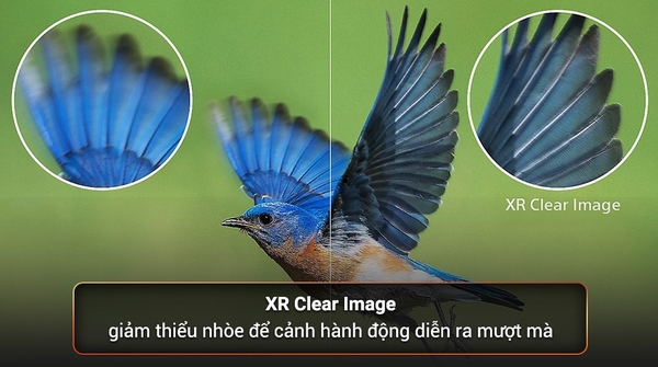 Google Tivi Mini LED Sony 4K 85 inch XR-85X95M ( 85X95M ) 2024