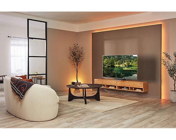 SAMSUNG TV OLED 4K QA65S95B 2022 4K SMART 65 inch 65S95B Chính hãng