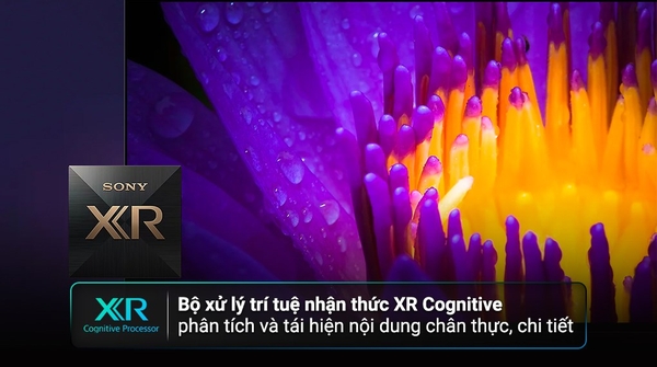 Google Tivi OLED Sony 4K 77 inch XR-77A95M ( 77A95M ) 2024