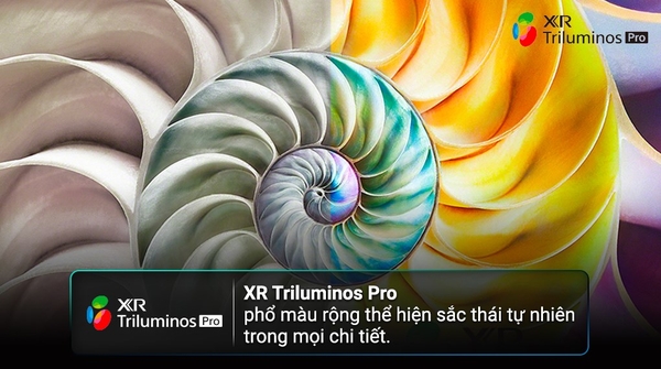 Google Tivi OLED Sony 4K 65 inch XR-65A80M ( 65A80M ) 2024 Chính hãng Mới 100%