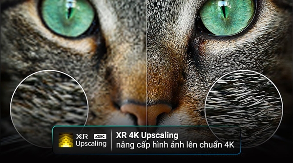 Google Tivi OLED Sony 4K 77 inch XR-77A95M ( 77A95M ) 2024 Chính hãng