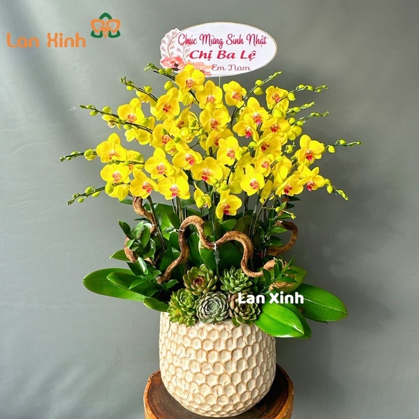 Chậu hoa lan hồ điệp vàng 18 cành - HD209