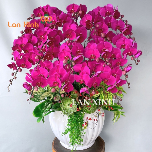 lan hồ điệp tím 21 cành tặng sinh nhật đẹp