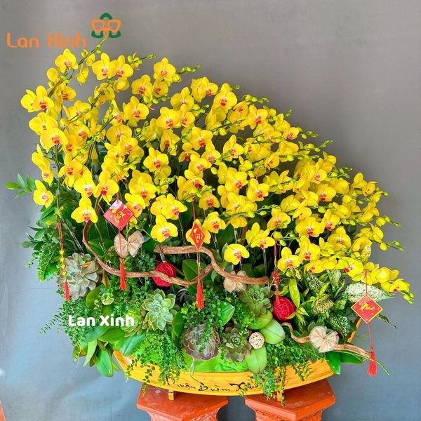 lan hồ điệp vàng thuyền gỗ sen đá