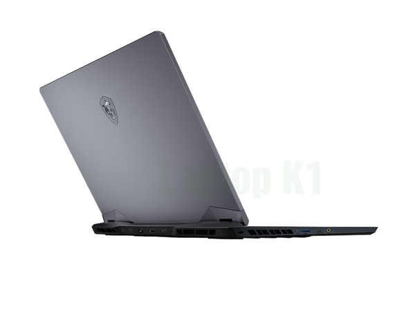 Laptop Gaming MSI GE66 Raider 11UG - Core i7 11800H RTX 3070 15.6inch 2K 165Hz