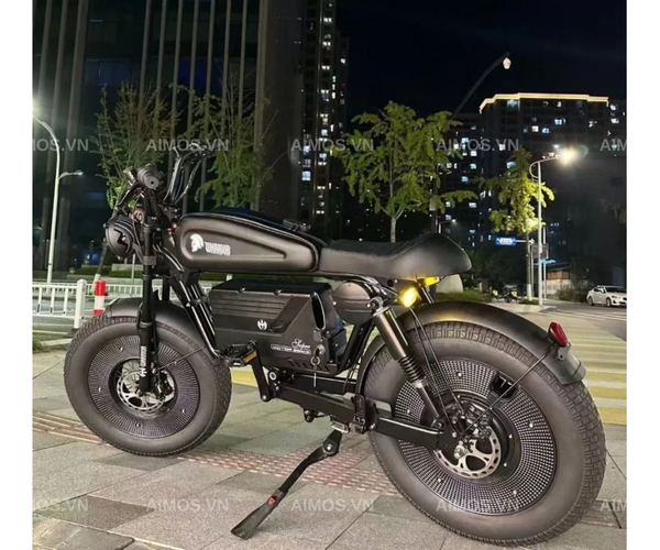 Xe đạp trợ lực điện Warrior (Himoto)