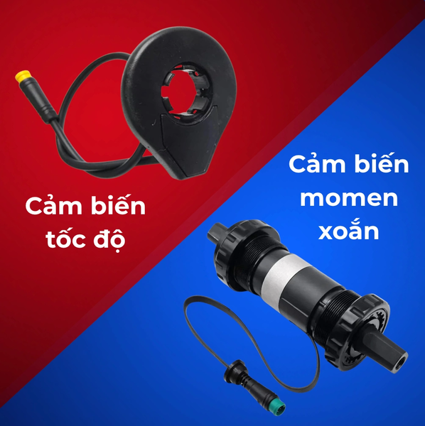Cảm biến tốc độ và cẩm biến momen xoắn