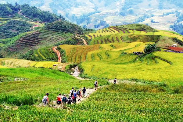 Cung đường Sapa