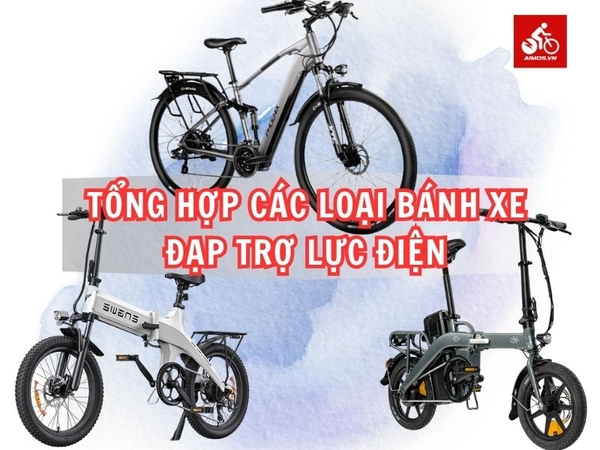loại bánh xe đạp trợ lực điện