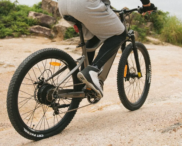 Xe đạp trợ lực điện 5Th Wheel Torrent 1